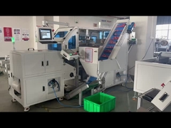 チリ粉末のパッケージのための自動カウントとパッケージングマシン